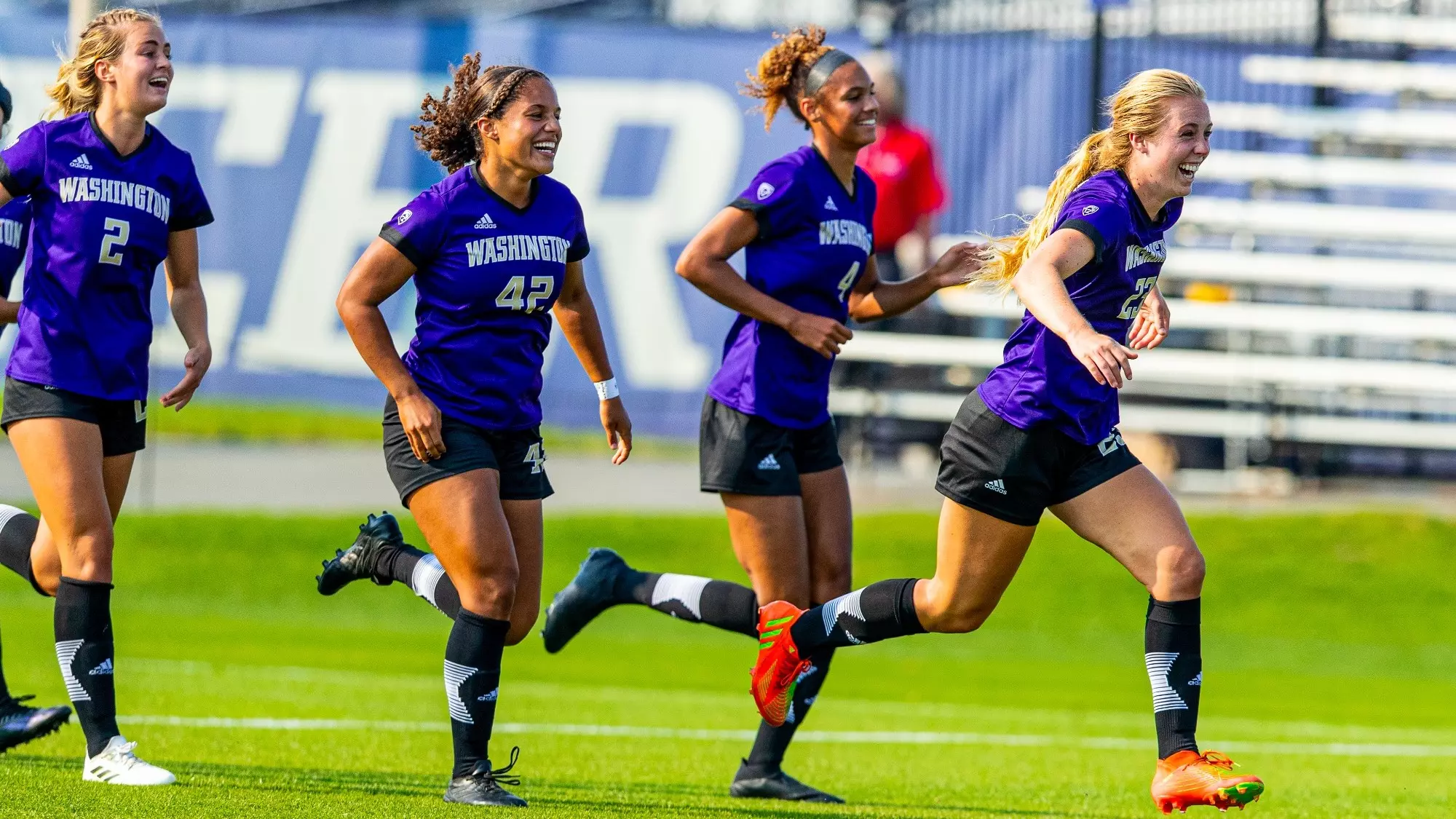 场上耀眼的 场上耀眼的